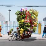 The case of a flower exporter using Goalseeker